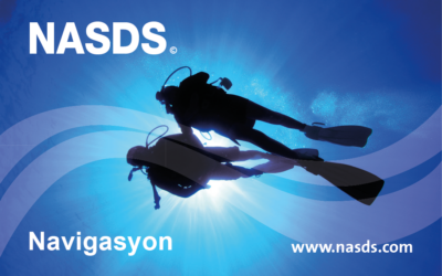 E-Learning NASDS Navigation (TR)