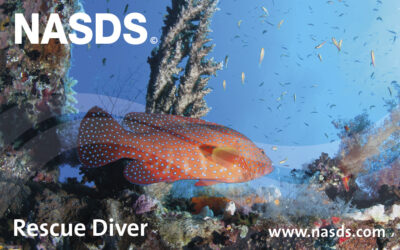 E-Learning Rescue Diver (GER)